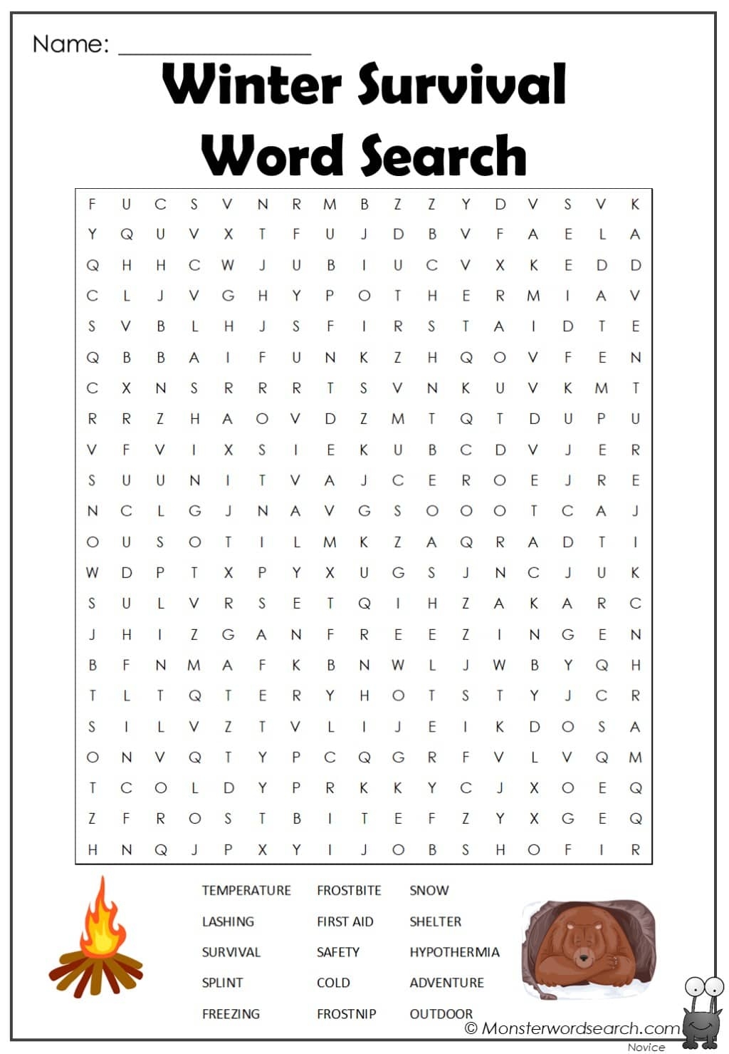Winter Word Search Printable