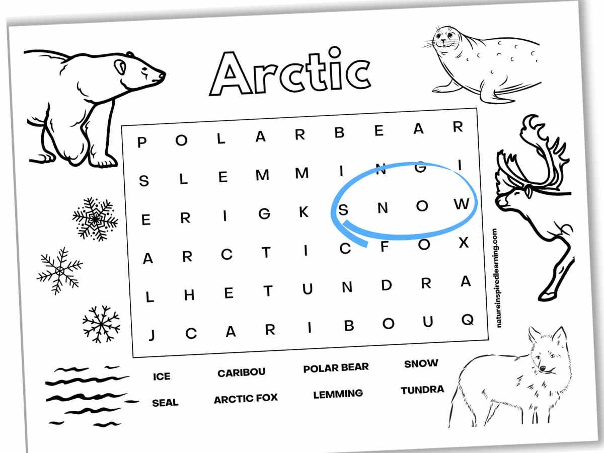 Arctic Word Searches Nature Inspired Learning
