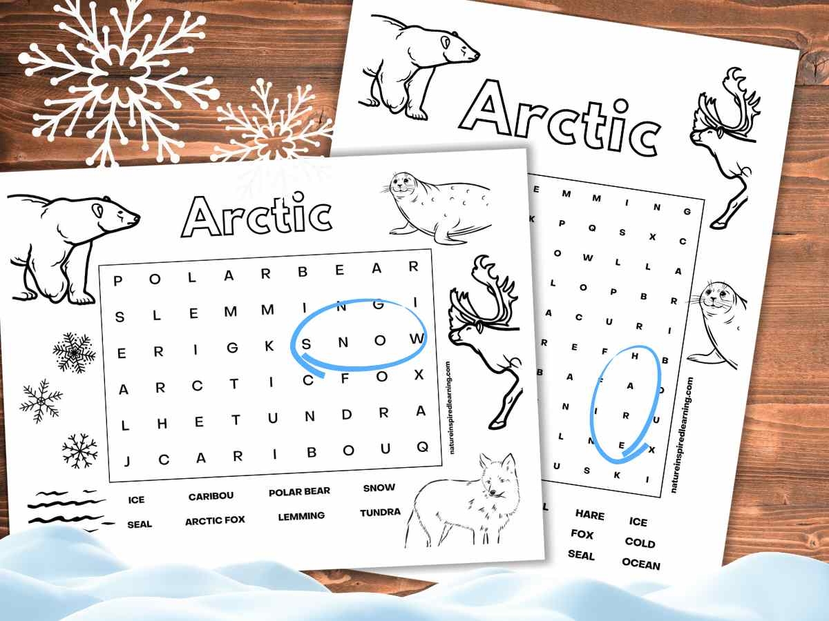 Arctic Word Searches Nature Inspired Learning Arctic Word Searches Nature Inspired Learning