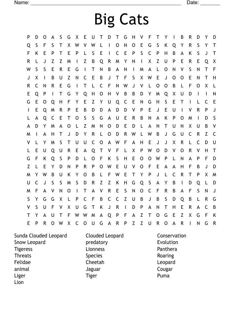 Big Cats Word Search WordMint Big Cats Word Search WordMint