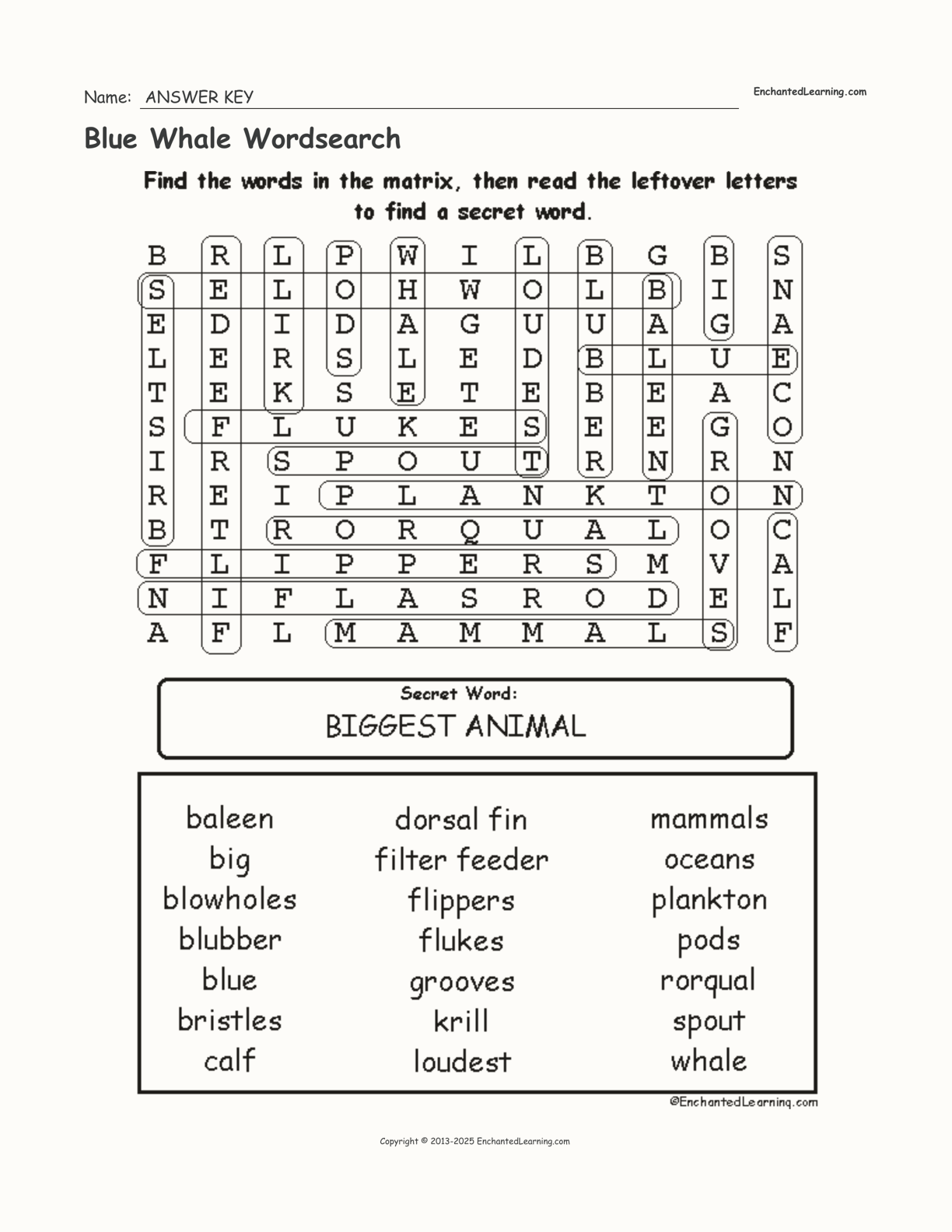 Blue Whale Wordsearch Enchanted Learning
