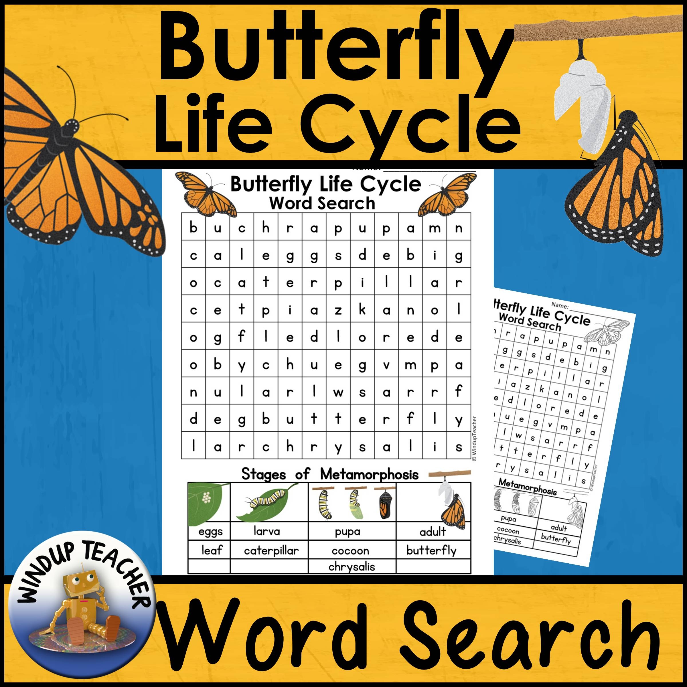 Butterfly Life Cycle Word Search Easy