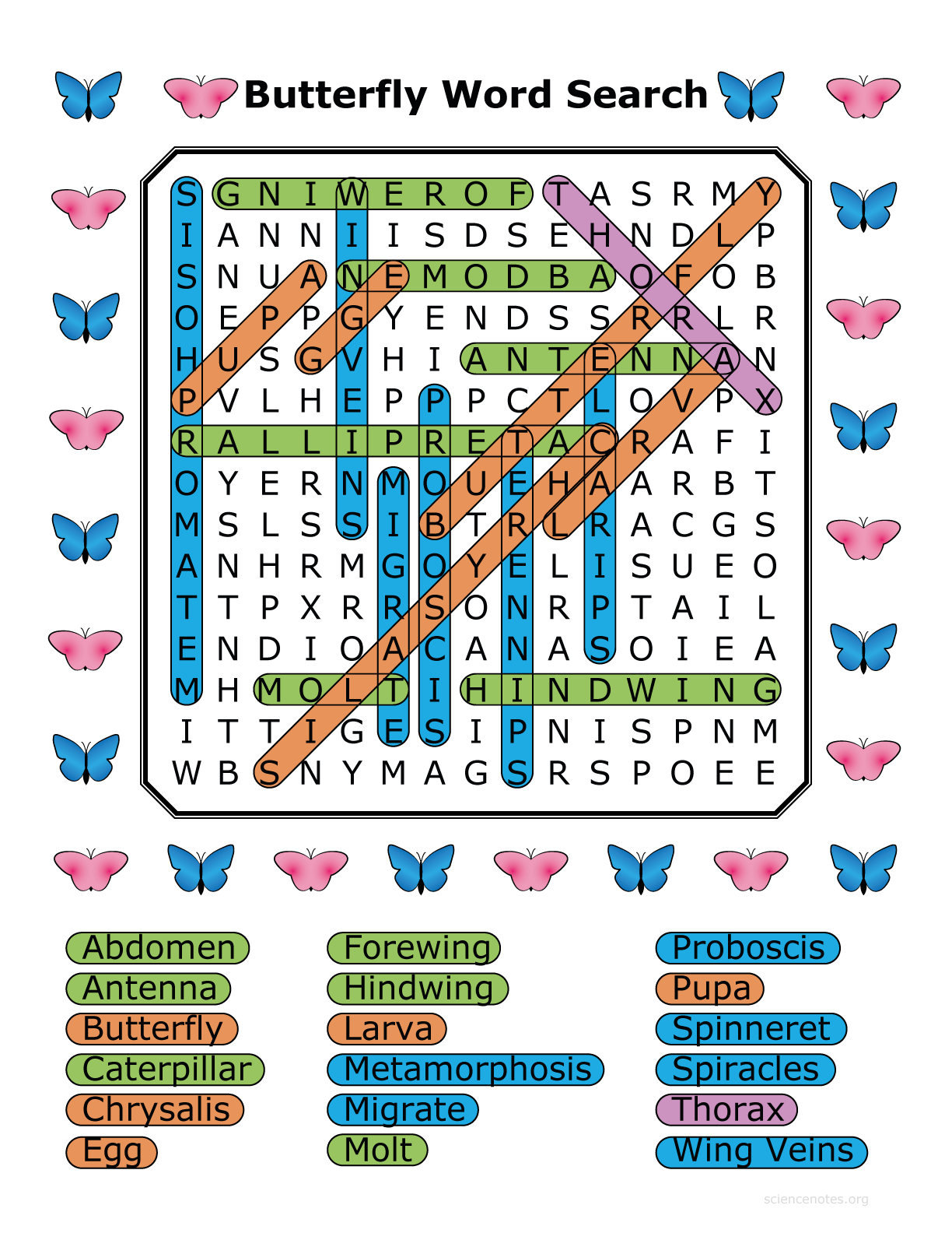 Butterfly Word Search