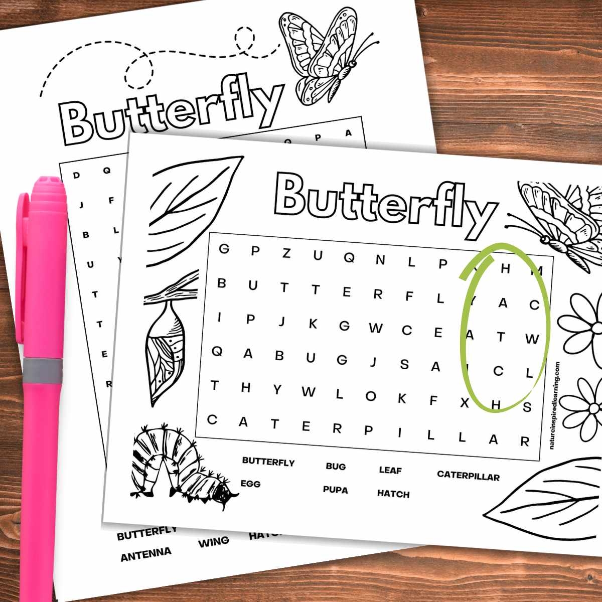 Butterfly Word Searches Nature Inspired Learning