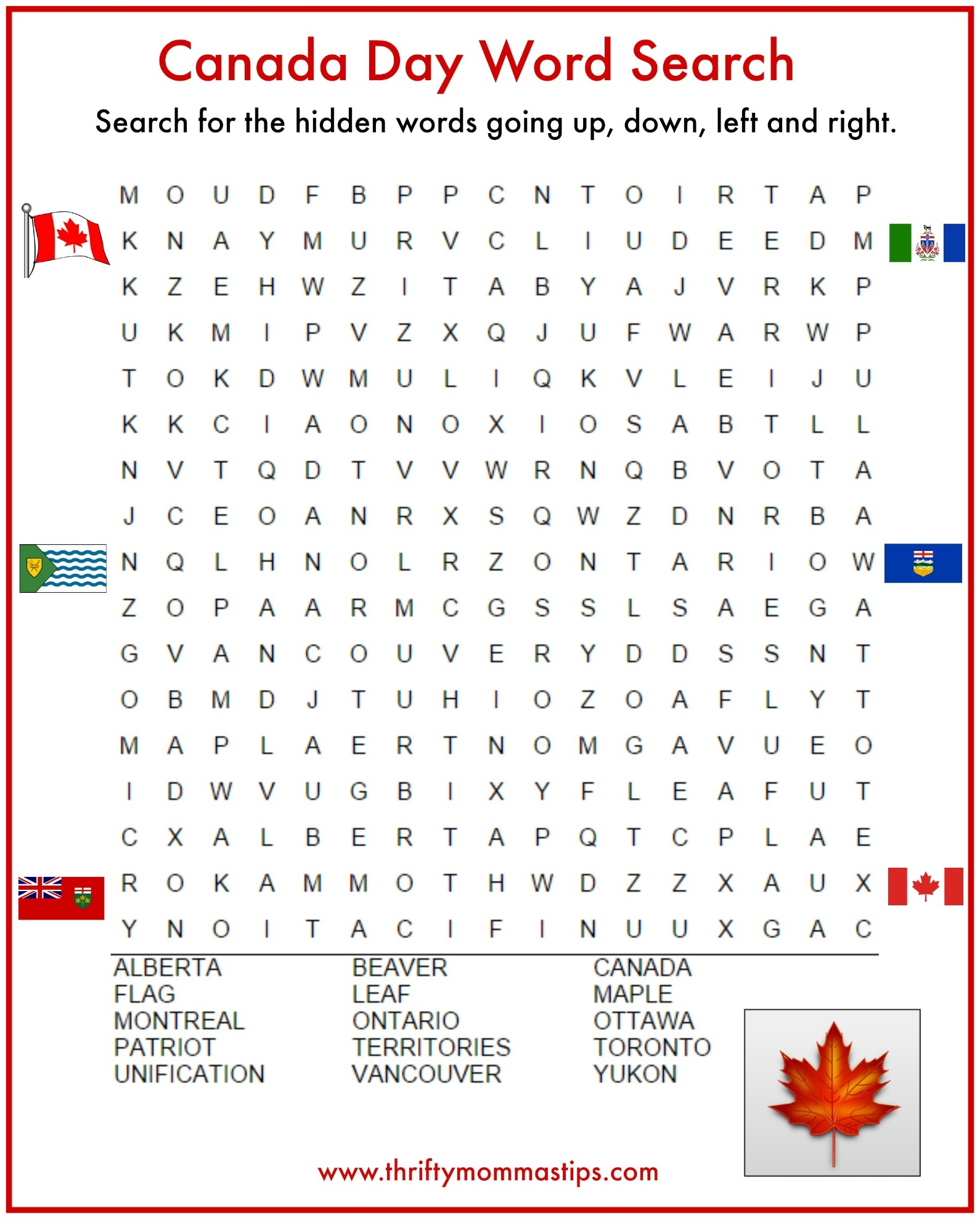Birthday Word Search Printable Adult