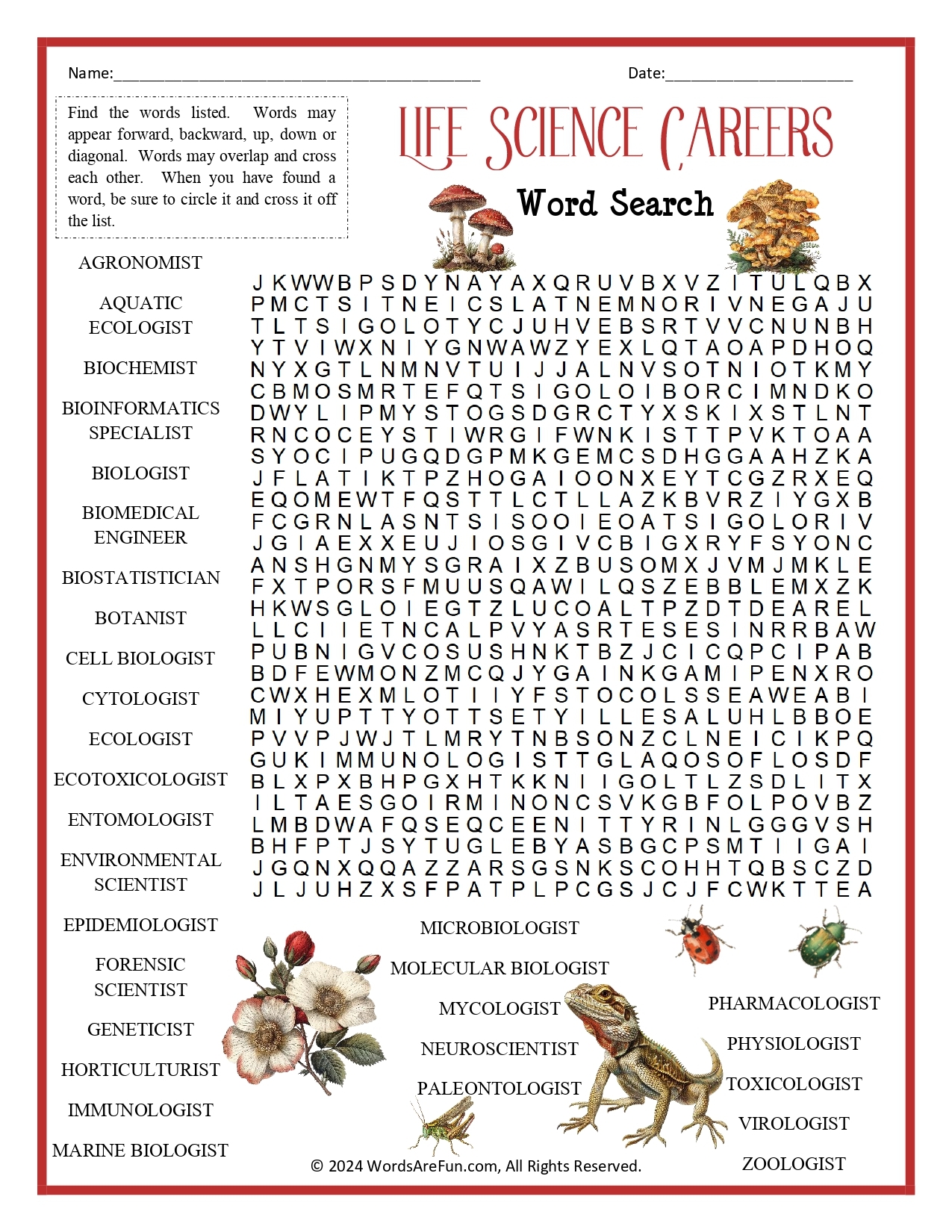 Careers And Occupations Word Search Puzzles Careers And Occupations Word Search Puzzles
