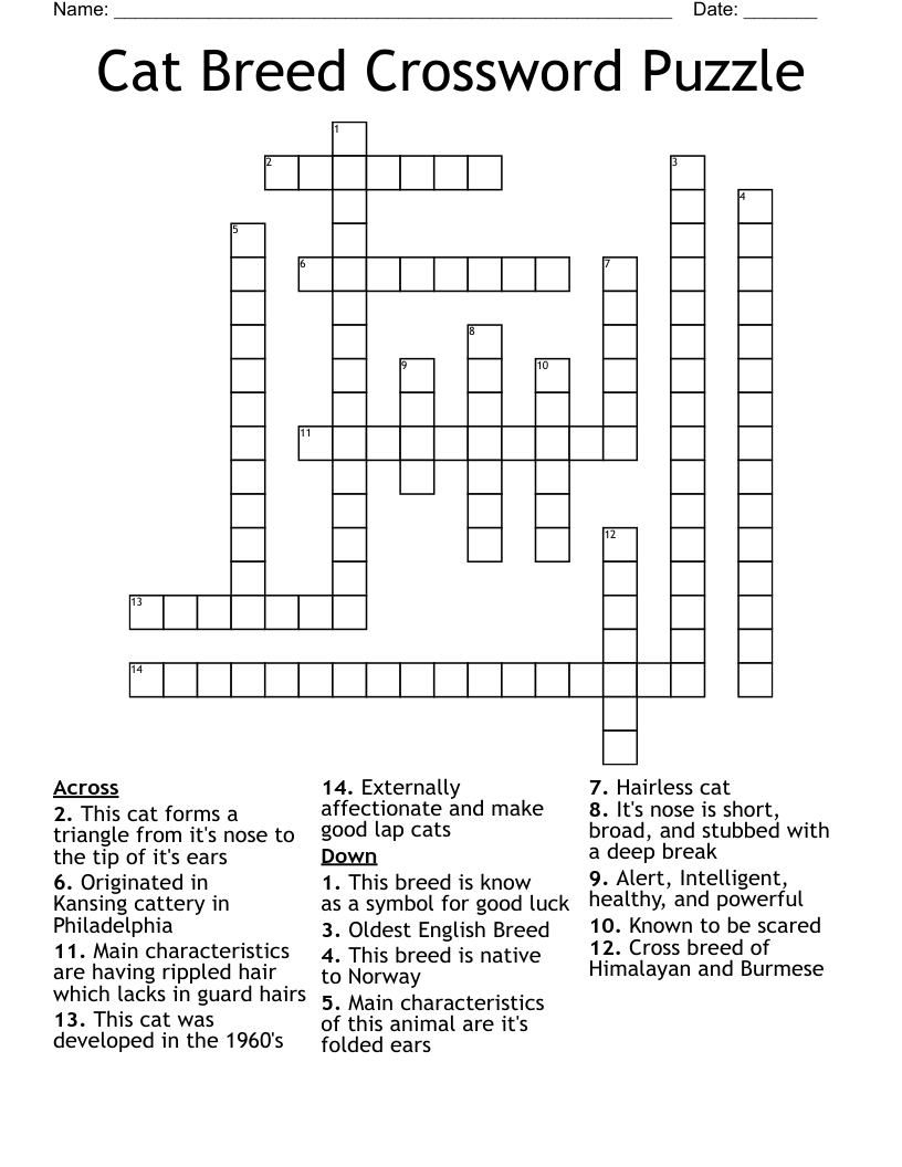 Cat Breed Crossword Puzzle WordMint Cat Breed Crossword Puzzle WordMint