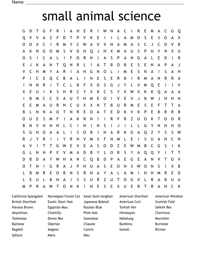 Cats Word Search WordMint Cats Word Search WordMint