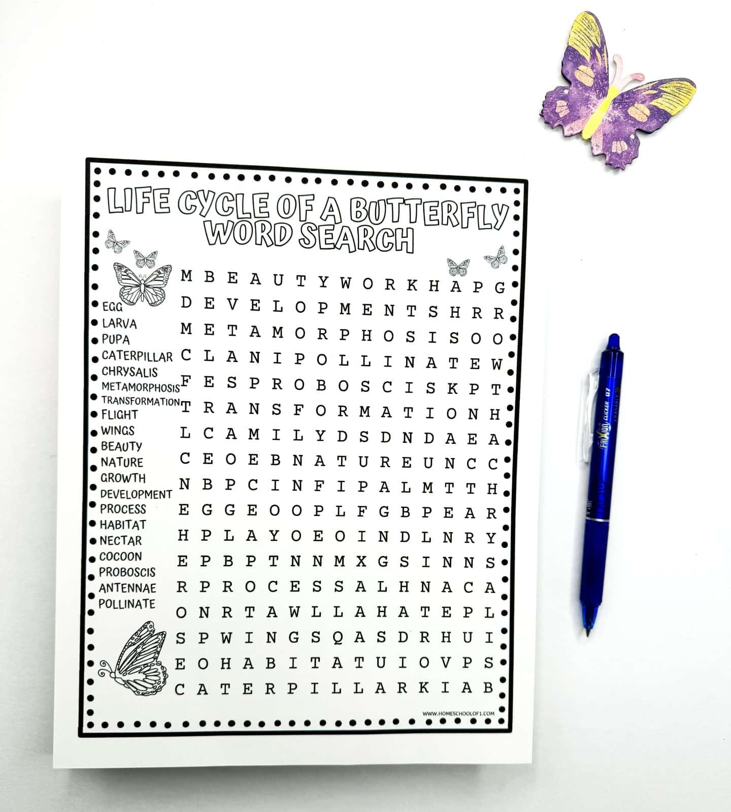 Butterfly Word Search Answers
