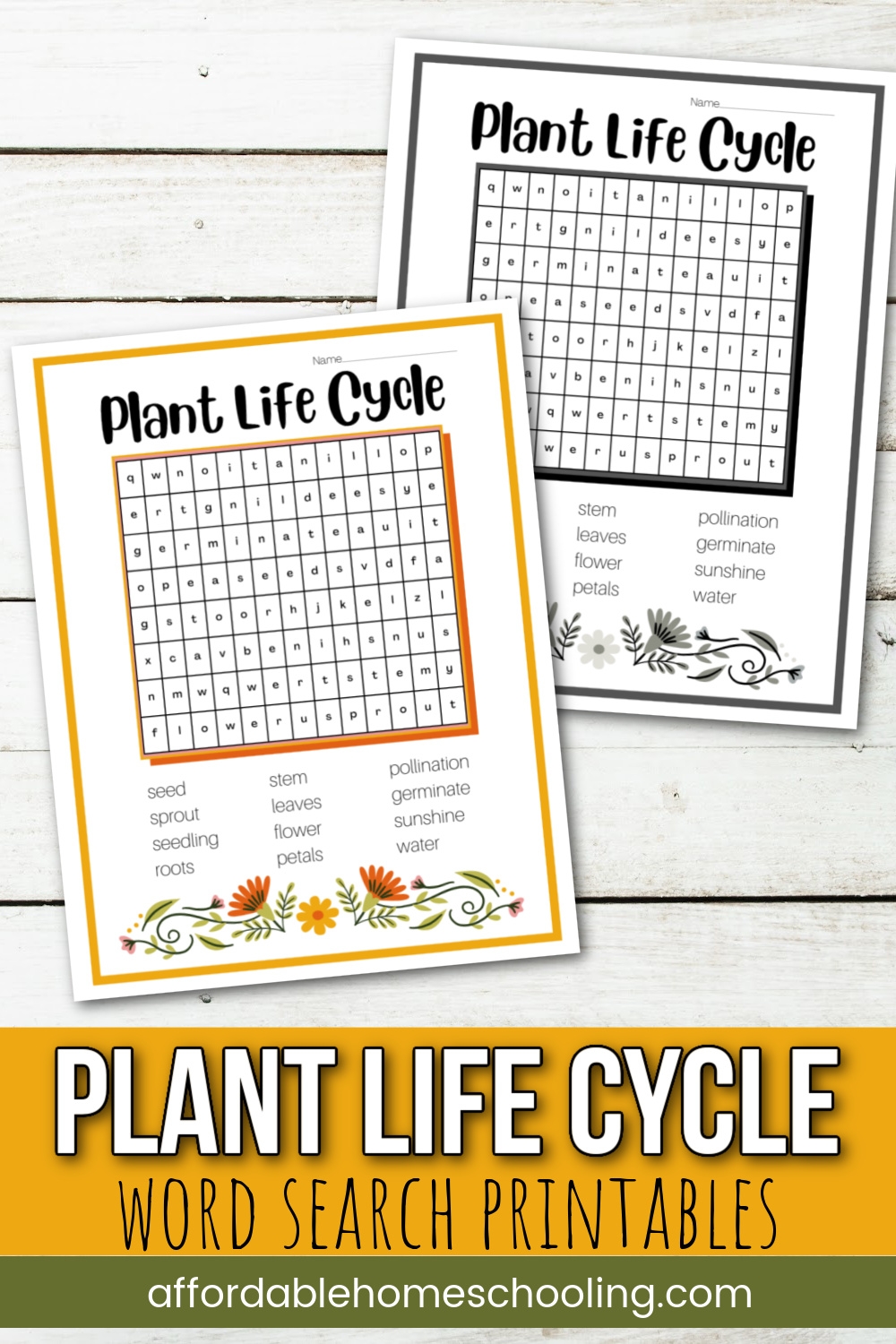 Free Printable Plant Life Cycle Word Search For Kids