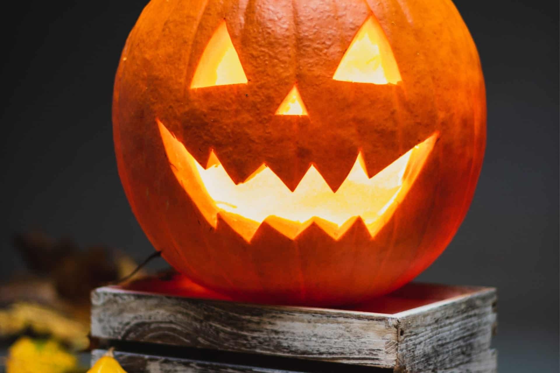 Extreme Word Search Pdf Halloween
