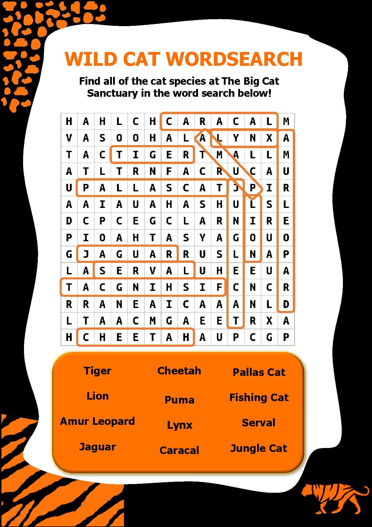 Learning Resources The Big Cat Sanctuary