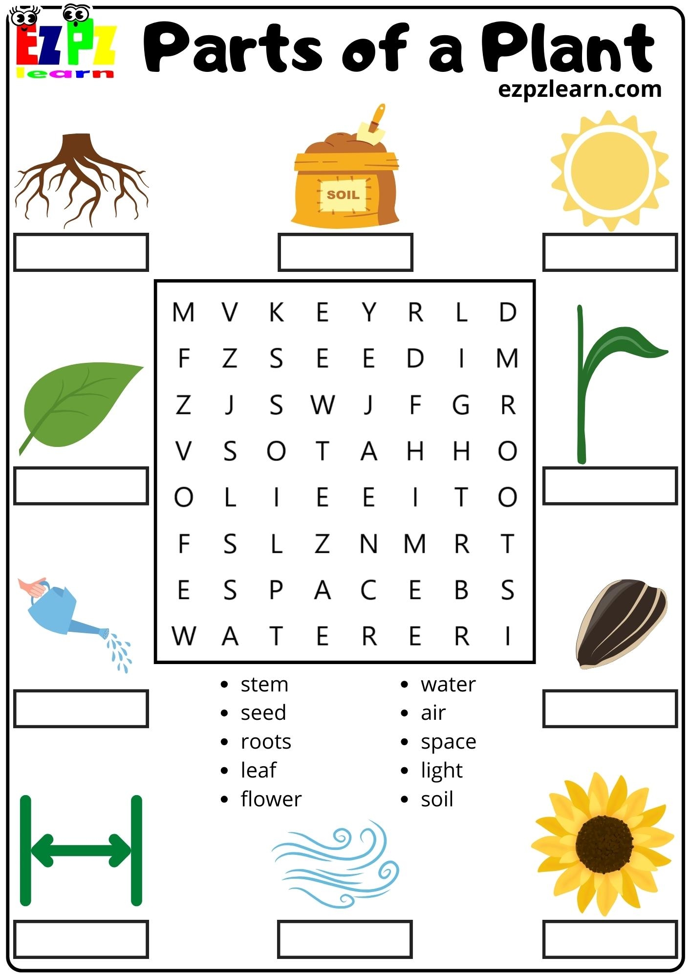 Parts Of A Plant Word Search And Match The Words For Kids And English Language Learners Ezpzlearn