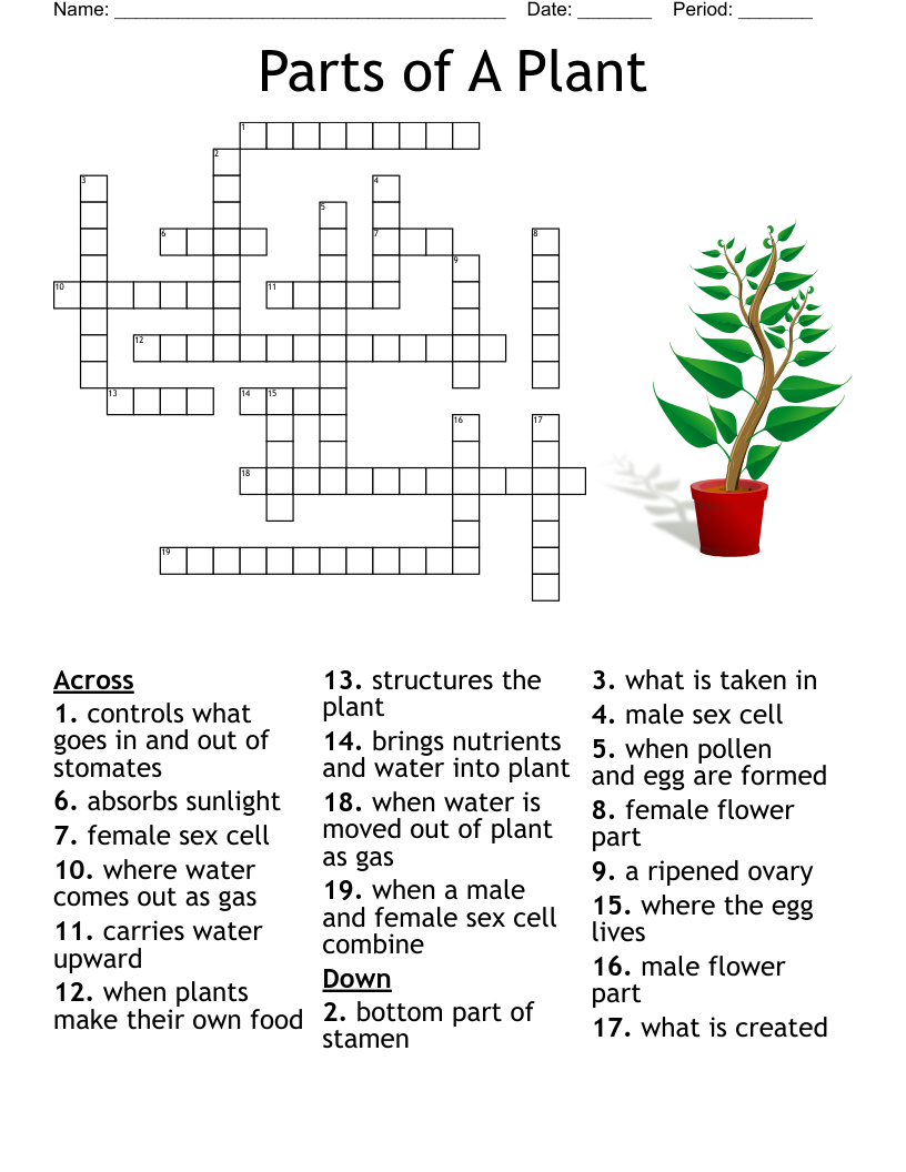 Plants Word Search WordMint