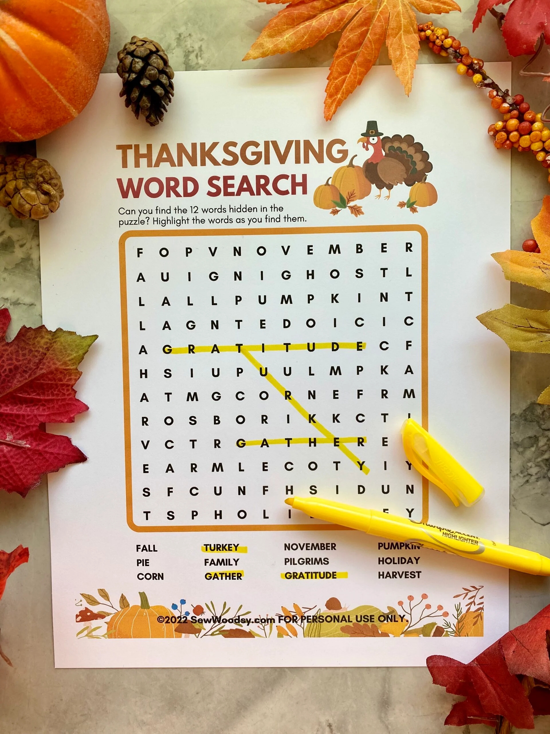 Picture Search Printable