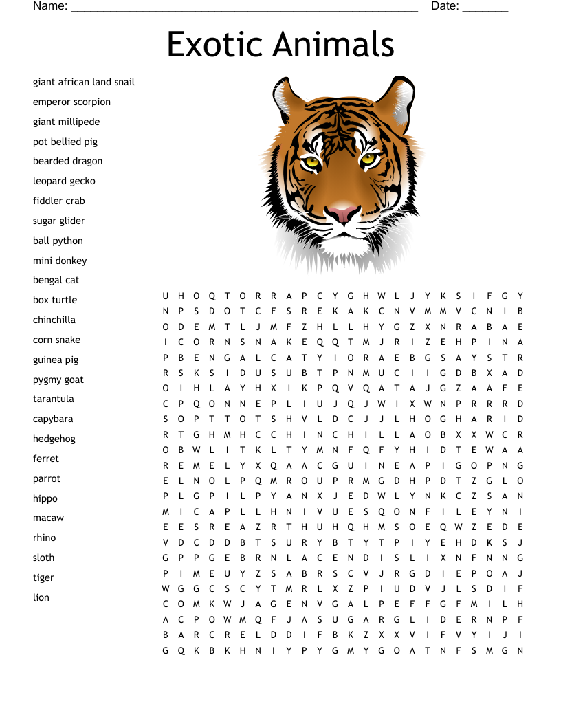 Big Cats Word Search Big Cats Word Search
