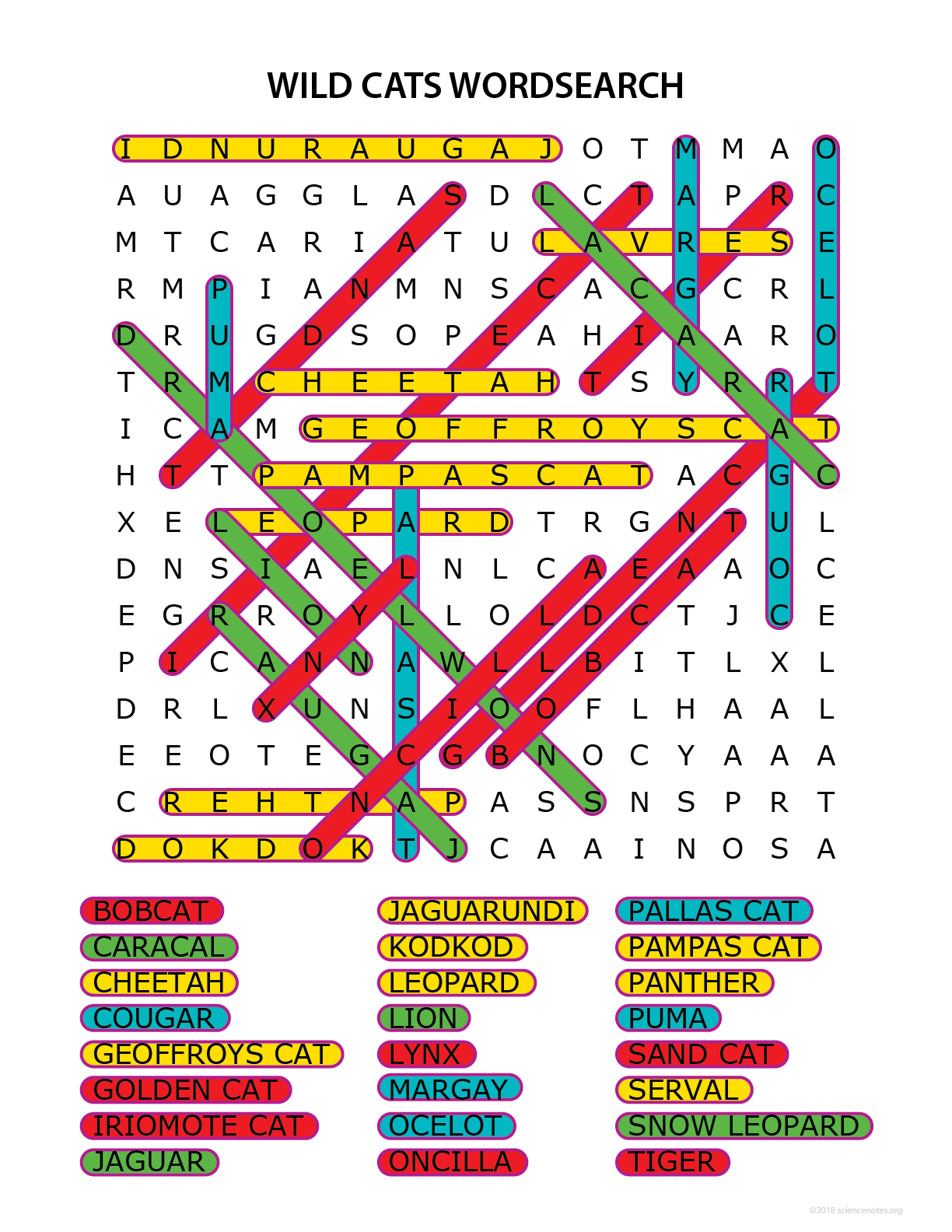 Wild Cats Word Search Wild Cats Word Search