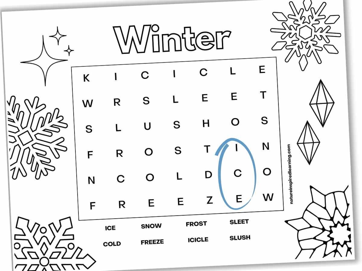 Winter Word Searches Nature Inspired Learning