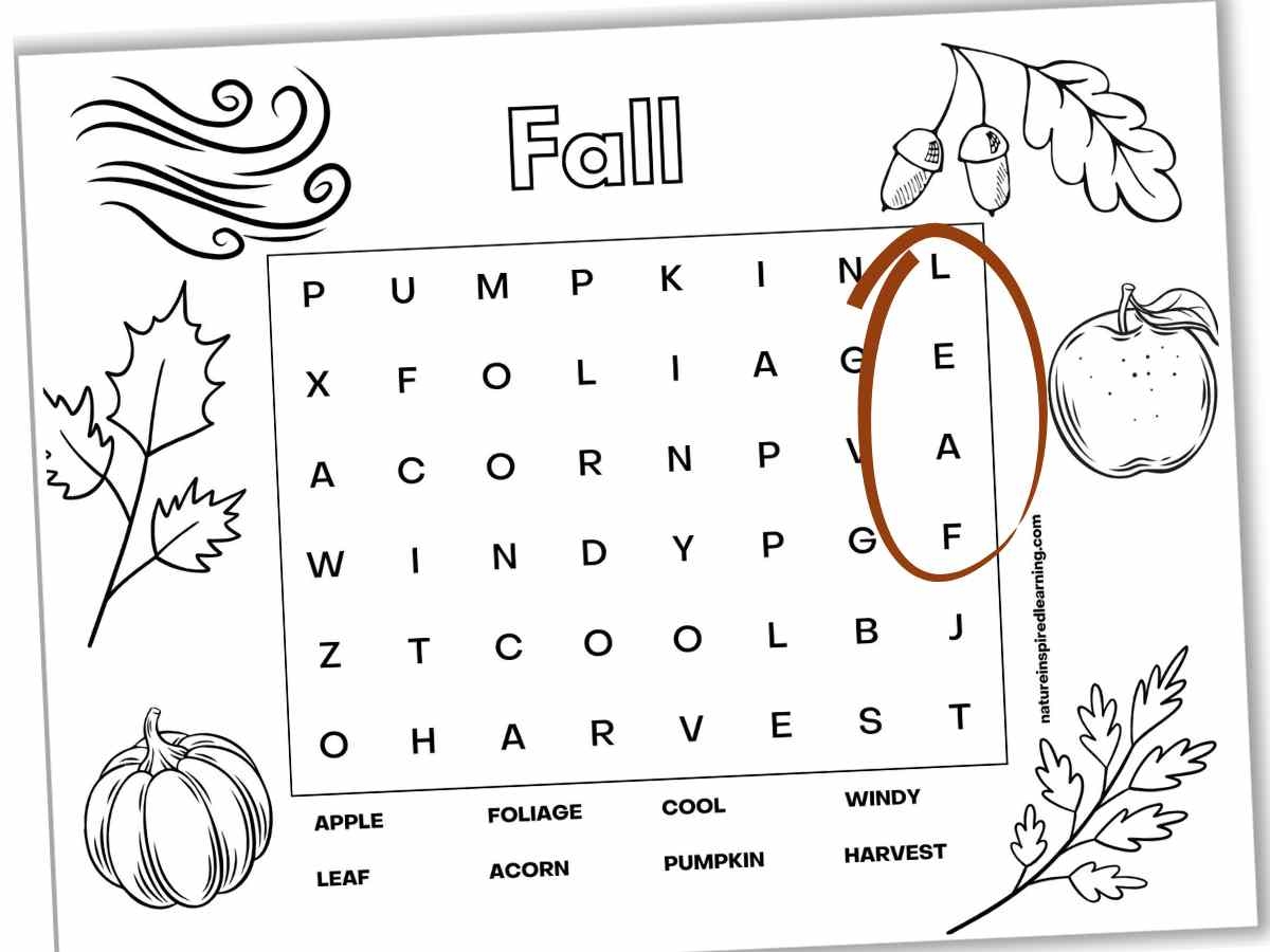 5 easy fall word searches nature inspired learning