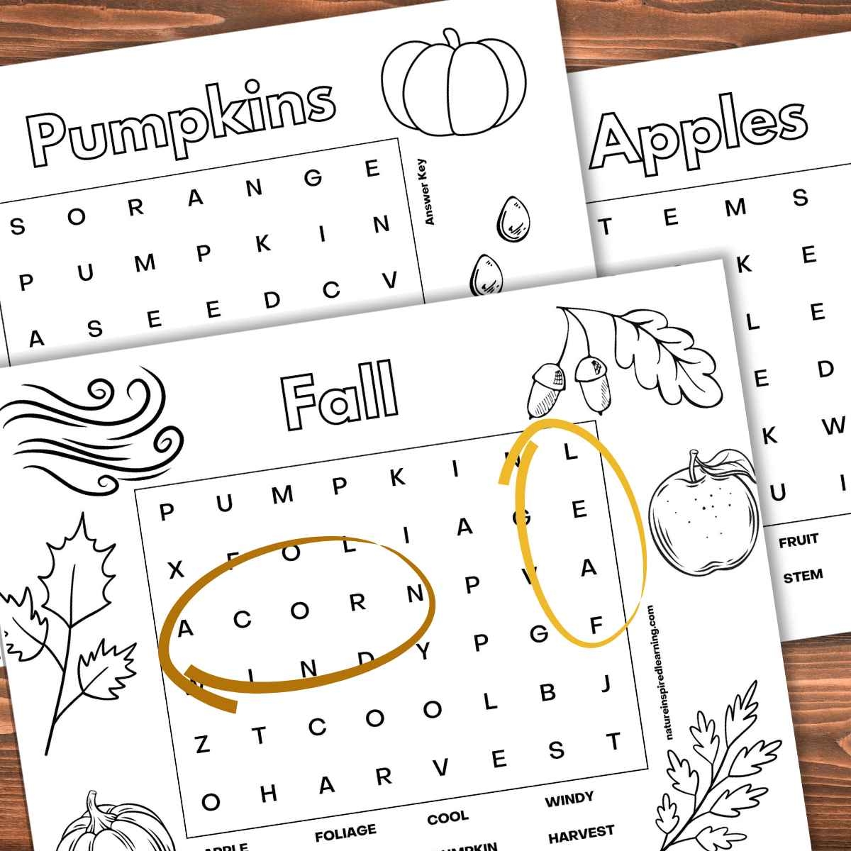 5 Easy Fall Word Searches Nature Inspired Learning