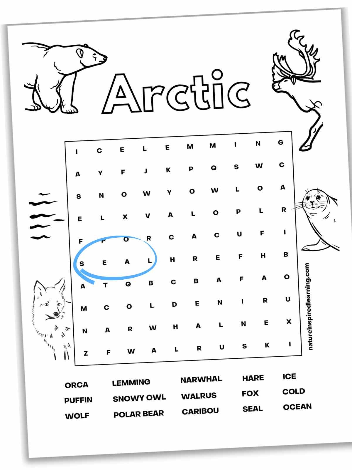 arctic word searches nature inspired learning