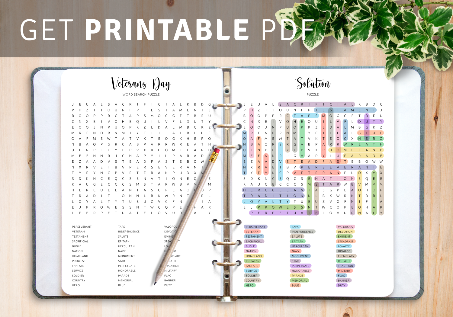 Download Printable Veterans Day Word Search In PDF