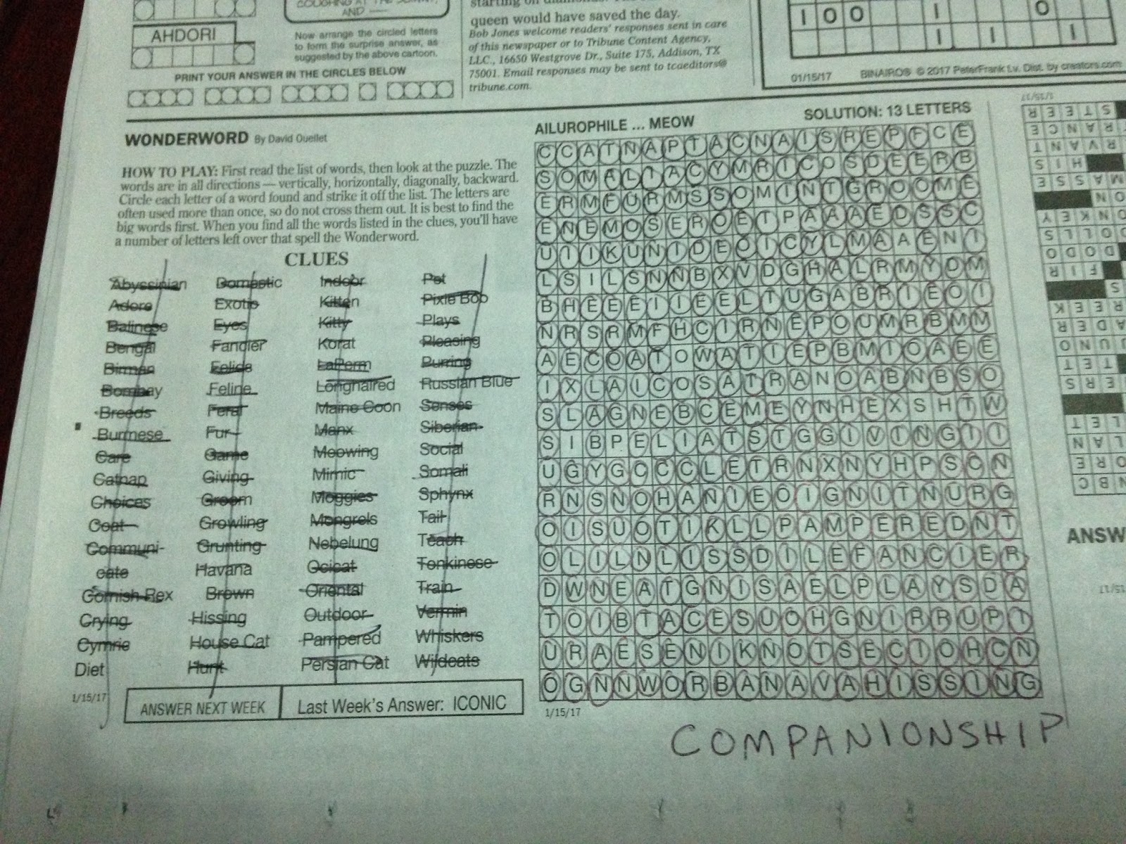 Eastside Cats Cat Word Search Puzzle