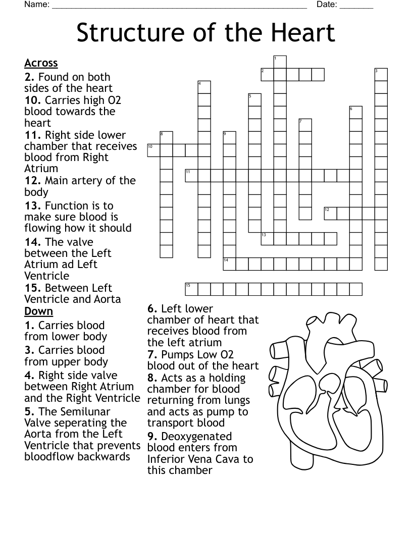 HARRY POTTER AND THE CHAMBER OF SECRETS Word Search WordMint