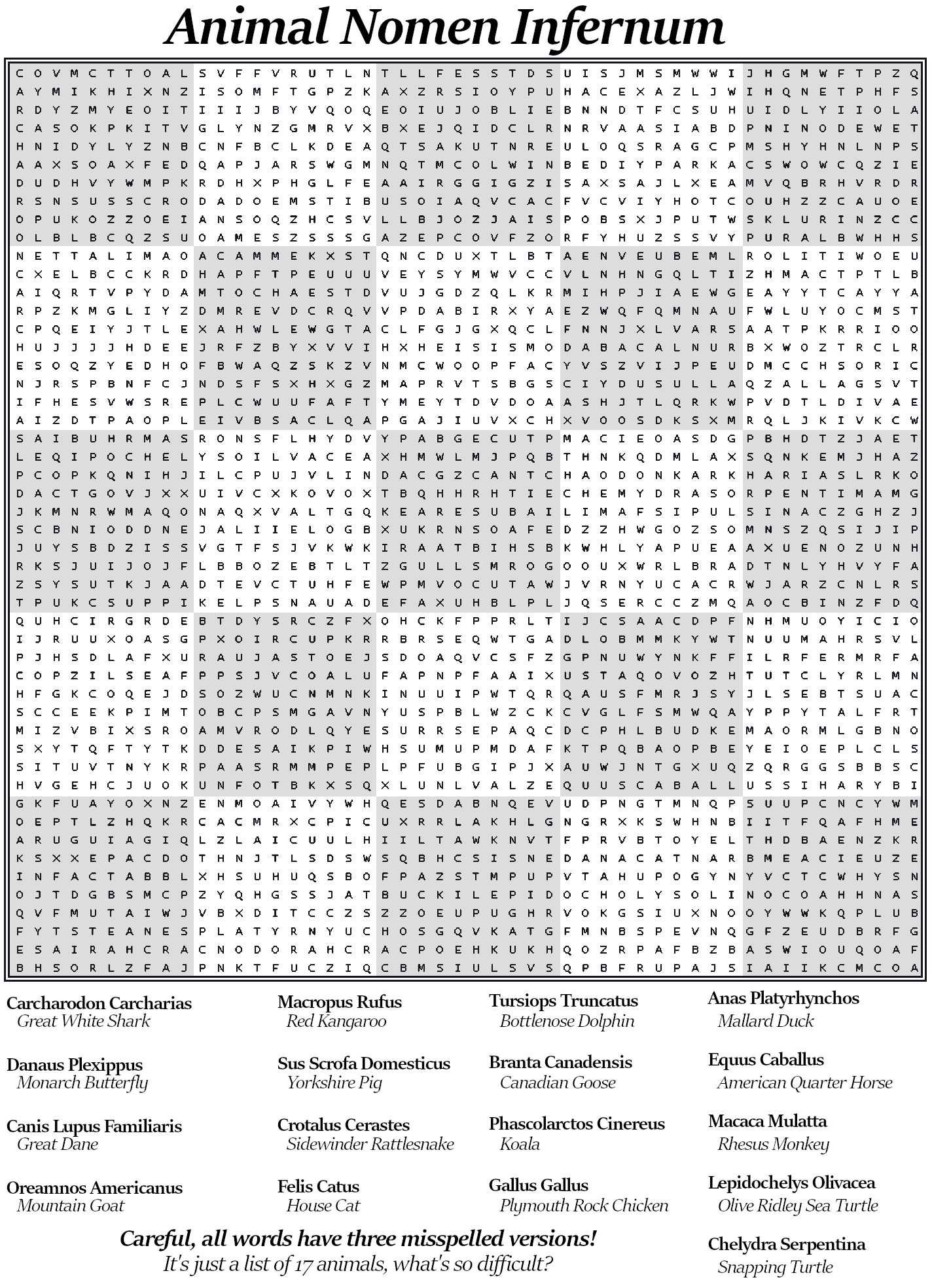 i made a difficult word search for my mother who often complains about them being too easy r puzzles