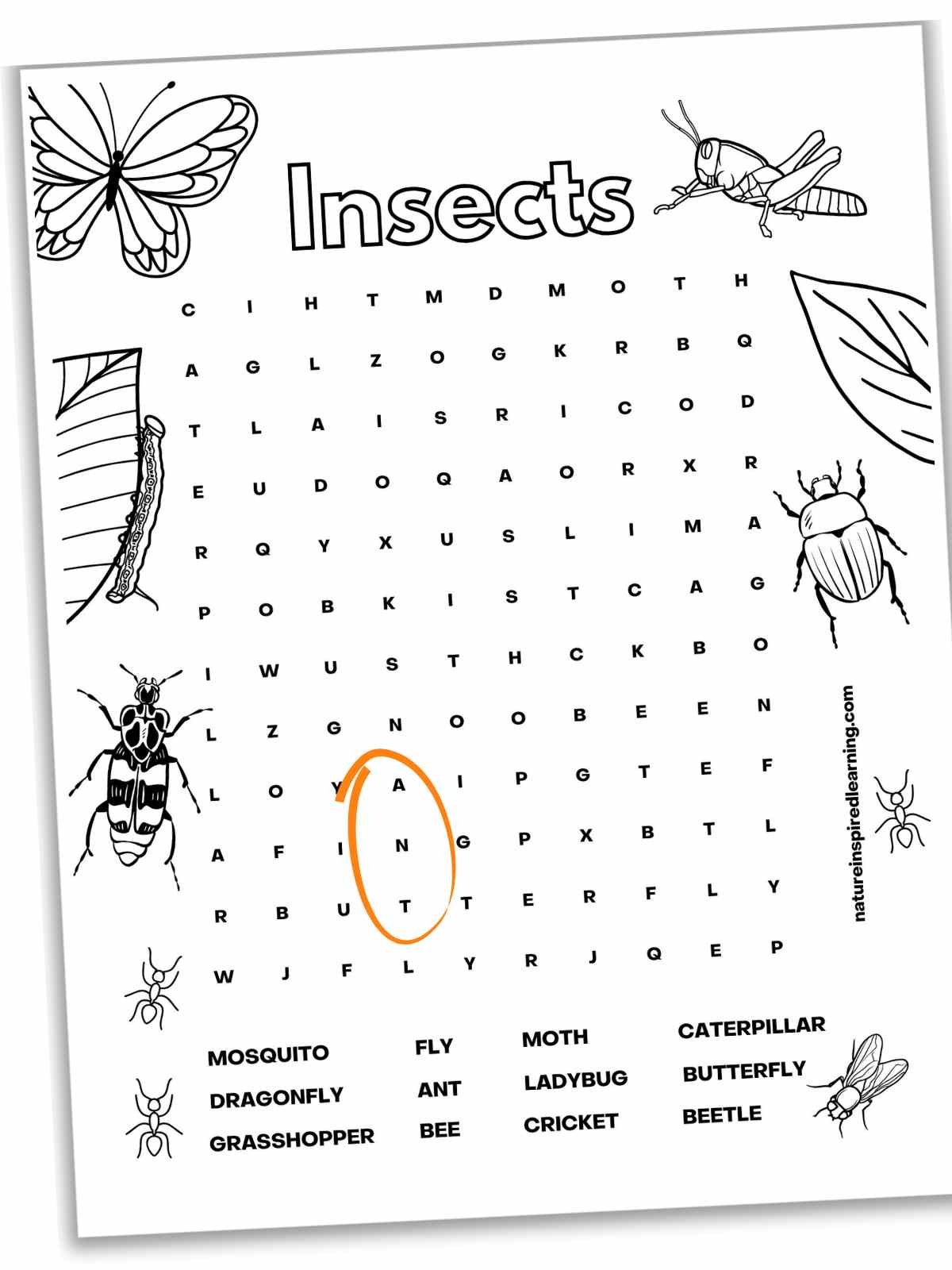 Insect Word Searches Nature Inspired Learning