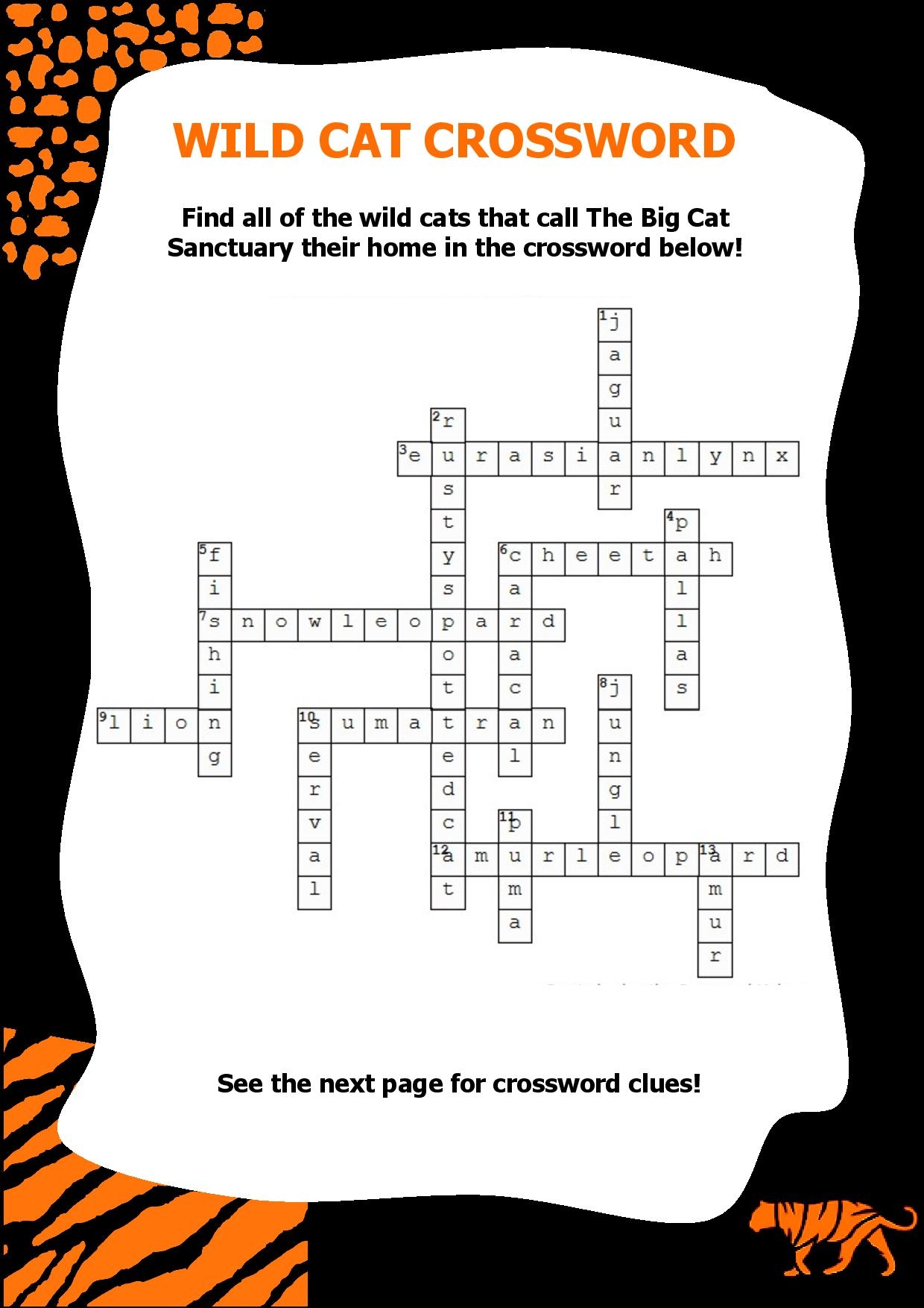 Wild Cat Word Search