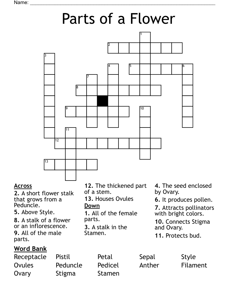 Parts Of A Flower Crossword WordMint