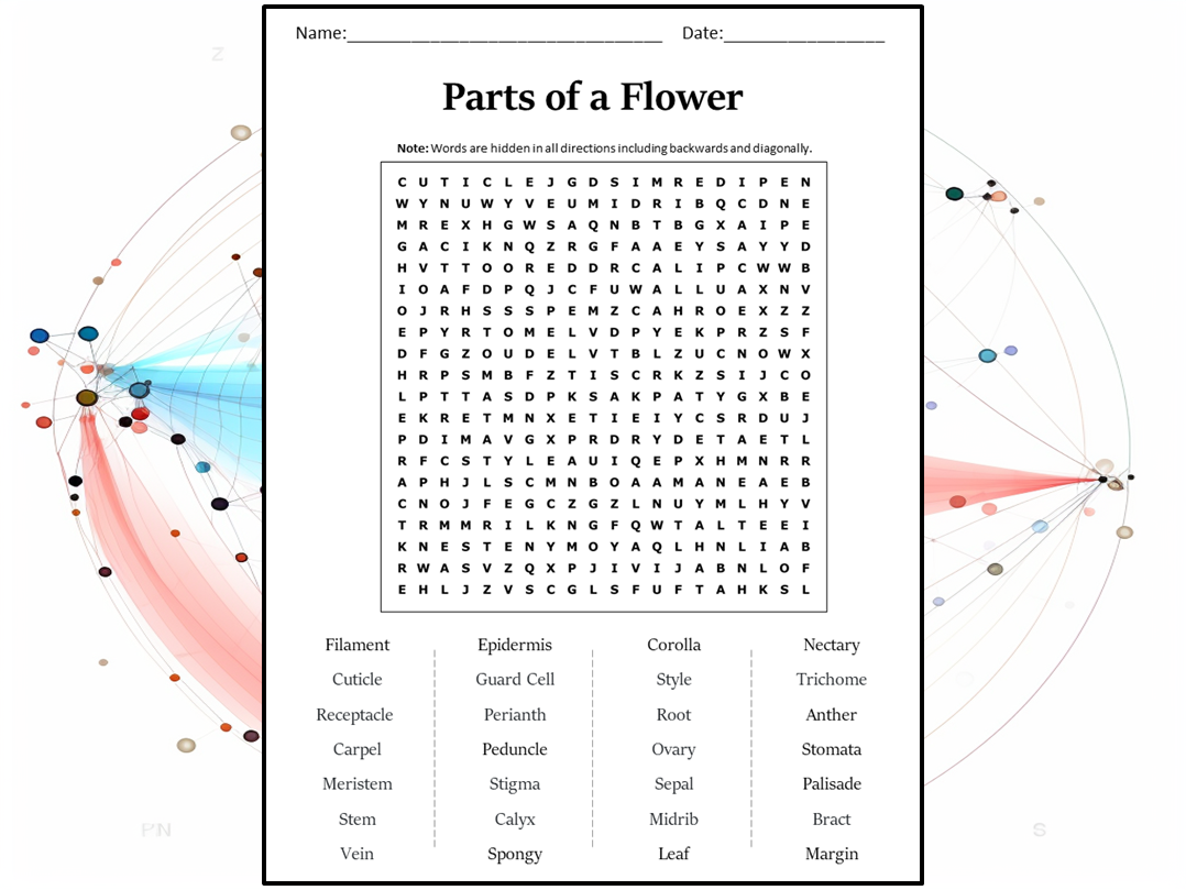 Parts Of A Flower Word Search