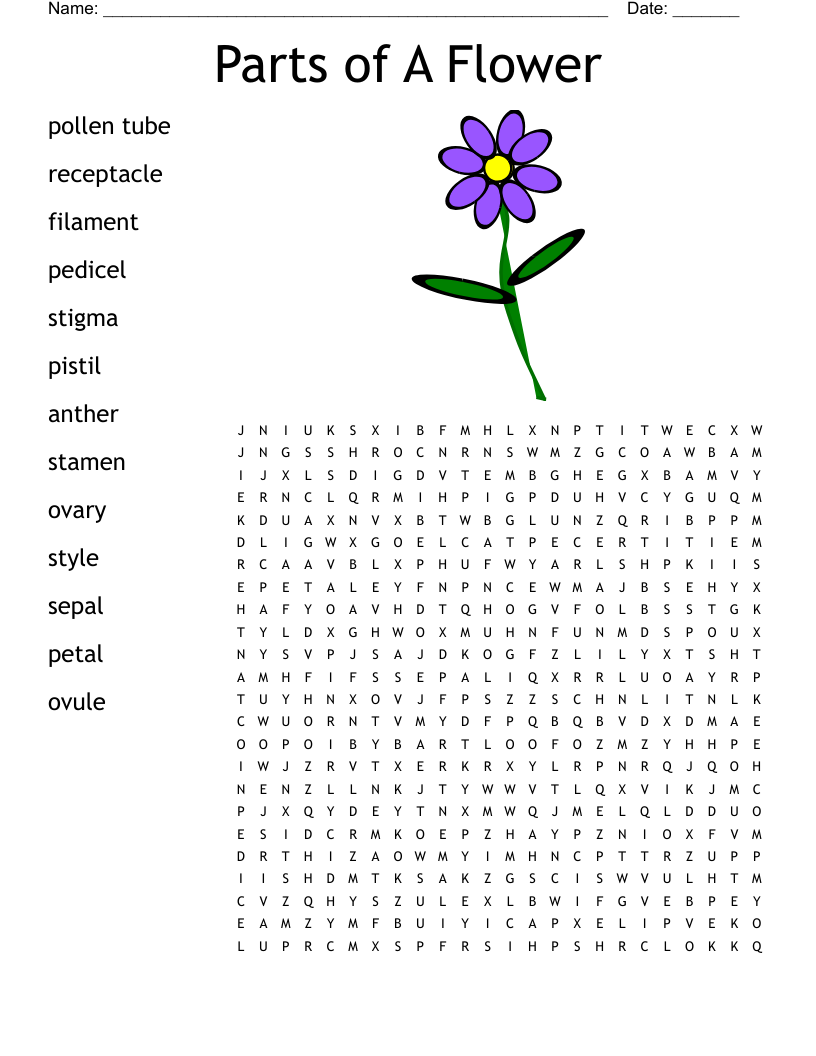 PARTS OF THE FLOWER Word Search WordMint PARTS OF THE FLOWER Word Search WordMint
