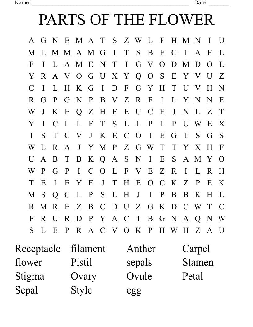 PARTS OF THE FLOWER Word Search WordMint