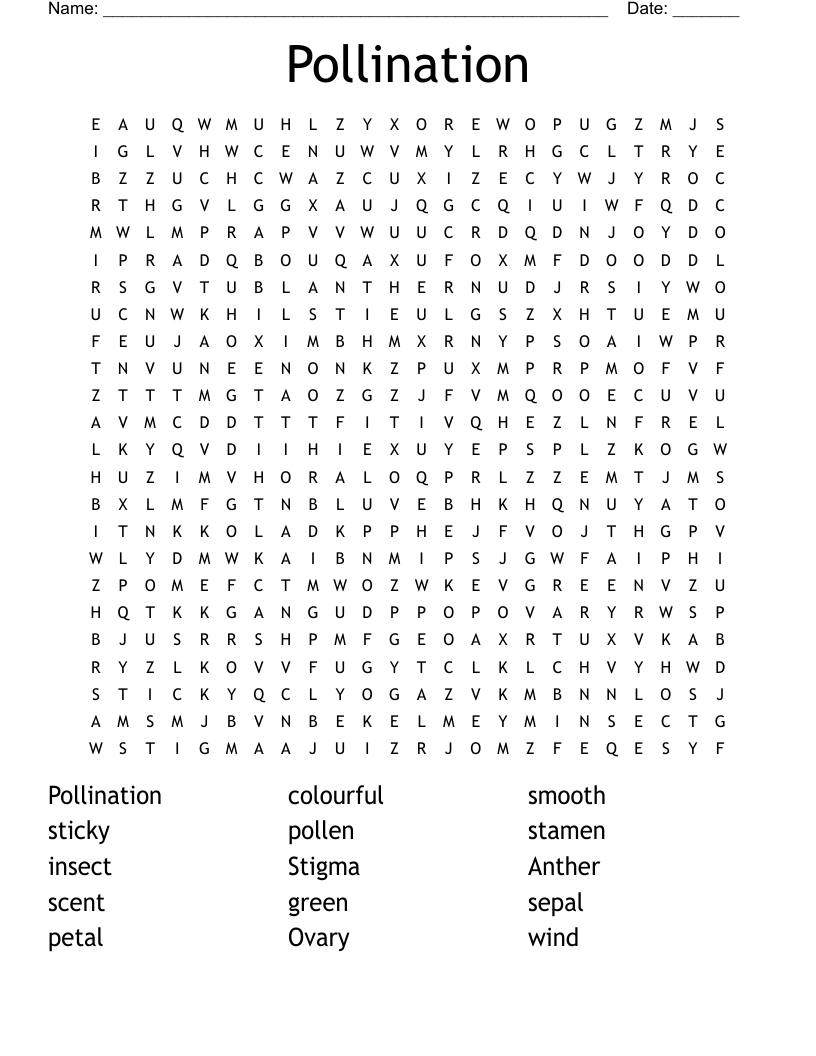 Pollination Word Search WordMint
