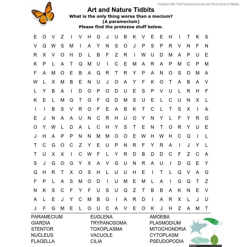 Protozoa Word Search Art U0026 Nature Center